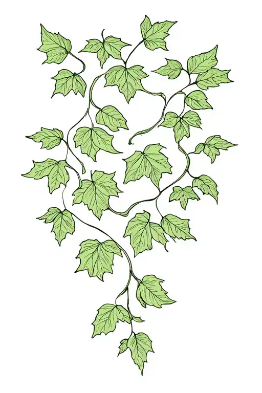 ivy leaves growing